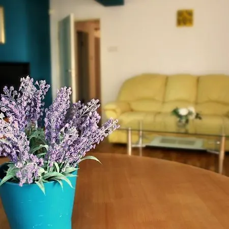 Apartamento Everyday